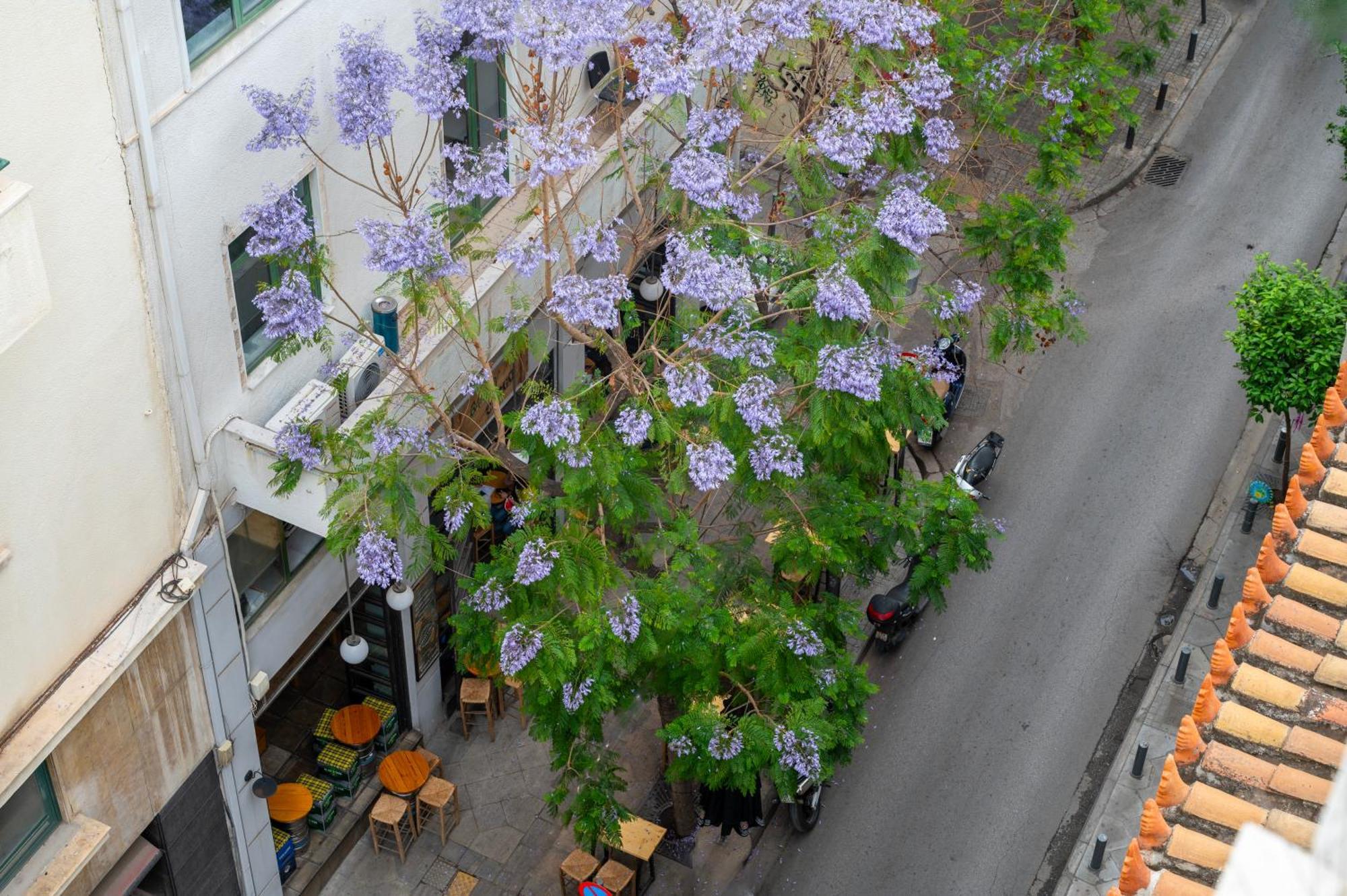 Hotel Hestia - Kolokotroni 23 Atény Exteriér fotografie
